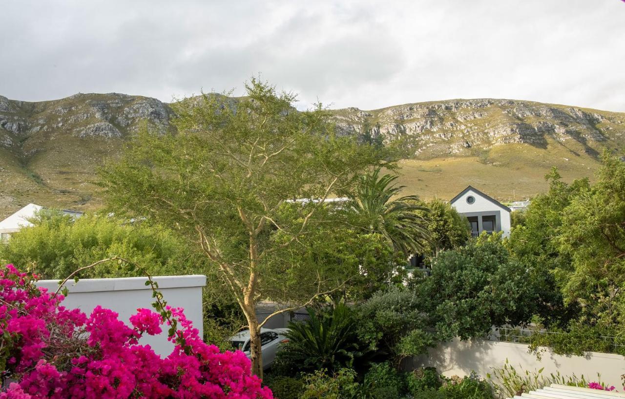 Fernkloof Lodge Hermanus Exterior photo